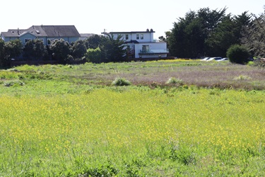 opkopen bouwgrond - bouwgrond verkopen